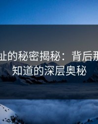 51网网址的秘密揭秘：背后那层你不知道的深层奥秘