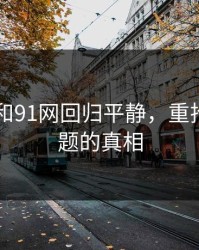 91爆料和91网回归平静，重拾那个问题的真相