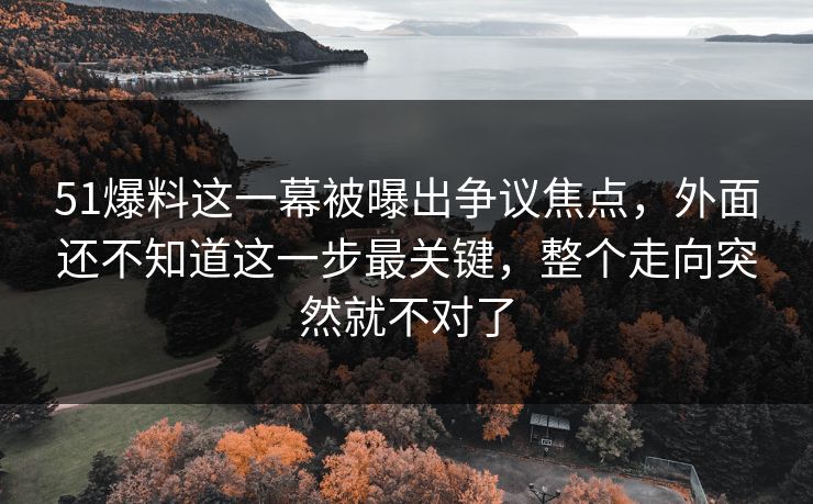51爆料这一幕被曝出争议焦点，外面还不知道这一步最关键，整个走向突然就不对了