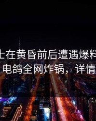 业内人士在黄昏前后遭遇爆料 瞬间沦陷，电鸽全网炸锅，详情了解