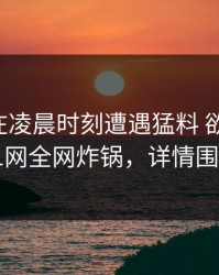 当事人在凌晨时刻遭遇猛料 欲望升腾，91网全网炸锅，详情围观