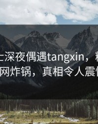 业内人士深夜偶遇tangxin，糖心vlog全网炸锅，真相令人震惊！