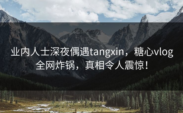 业内人士深夜偶遇tangxin，糖心vlog全网炸锅，真相令人震惊！
