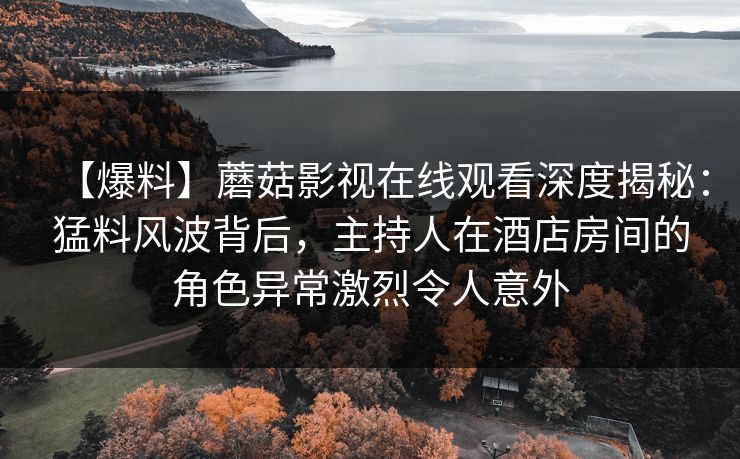 【爆料】蘑菇影视在线观看深度揭秘：猛料风波背后，主持人在酒店房间的角色异常激烈令人意外